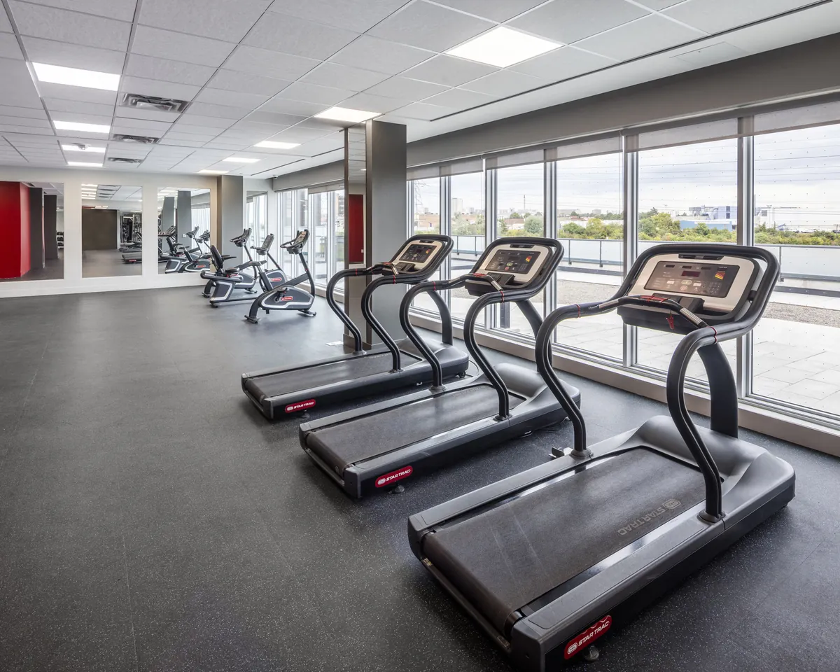 Treadmills facing the window wall in the fitness centre